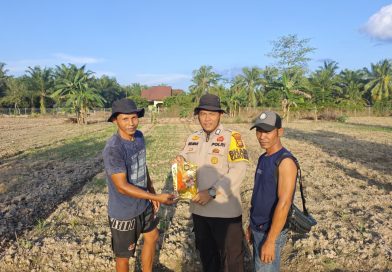Polri Turun ke Ladang, Polsek Siak Kecil Salurkan Bibit Jagung untuk Selamatkan Panen Polri Turun ke Ladang, Polsek Siak Kecil Salurkan Bibit Jagung untuk Selamatkan Panen