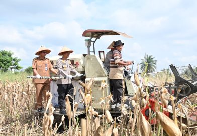 Polda Riau Turun ke Lahan: Kombes Boy Jeckson Kendalikan Combine Harvester, Panen Jagung 4 Hektare Jadi Simbol Kolaborasi Ketahanan Pangan Polda Riau Turun ke Lahan: Kombes Boy Jeckson Kendalikan Combine Harvester, Panen Jagung 4 Hektare Jadi Simbol Kolaborasi Ketahanan Pangan