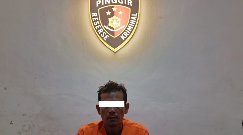 Polsek Pinggir Gagalkan Peredaran Sabu, Pengedar Diamankan dengan Barang Bukti 1,96 Gram